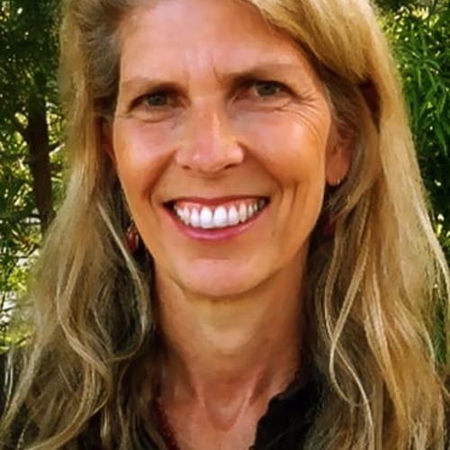 Mimi Polk Gitlin