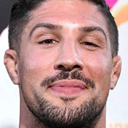 Brendan Schaub