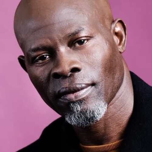 Djimon Hounsou