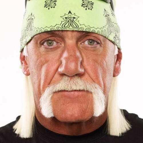 Hulk Hogan