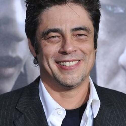 Benicio del Toro