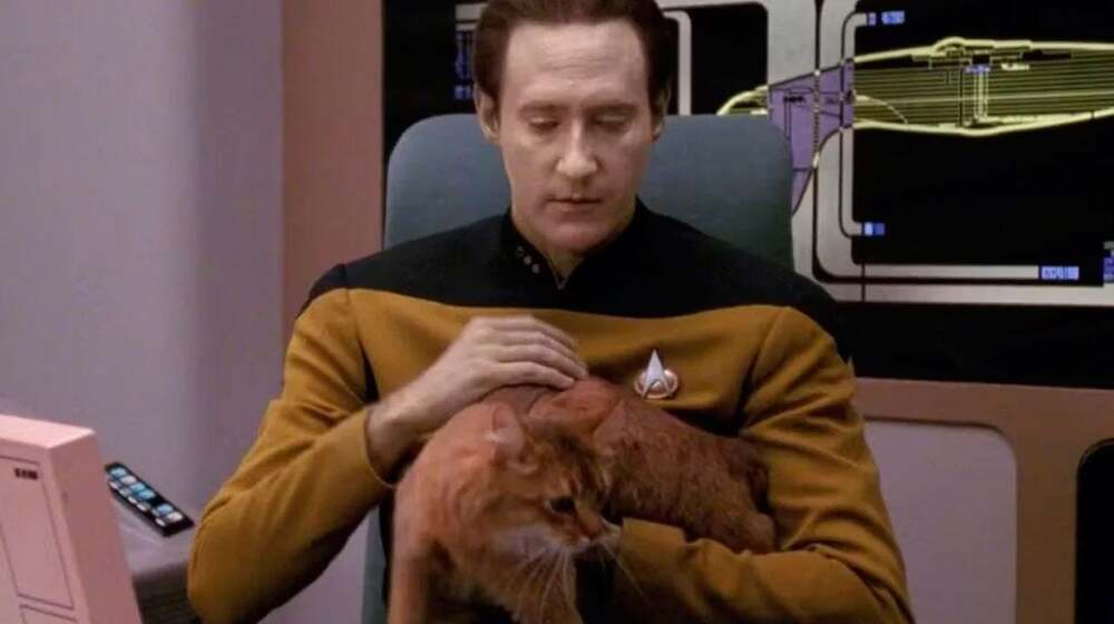 Hemos aceptado durante 30 a&ntilde;os este error de 'Star Trek' sin cuestionarlo: Algo no encaja con el gato de Data
